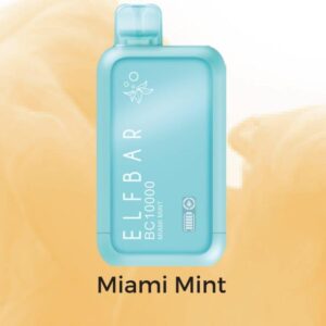 Elf Bar BC 10,000 Puffs (RECHARGEABLE)